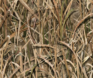 Grasslands Cold or Hot Cup